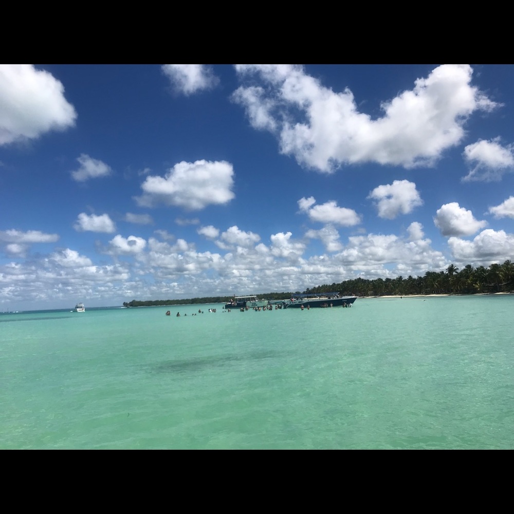 Meet your Posher, Billie